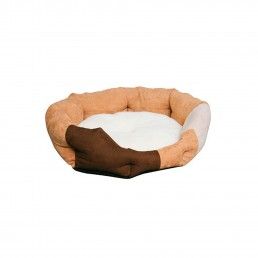CAMA P/ CAO AMY
