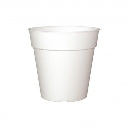 VASO PRODUAO MADAGASCAR ORQUIDEA