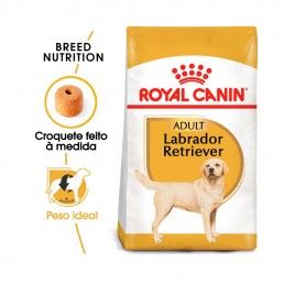 ROYAL CANIN LABRADOR RETRIEVER ADULT