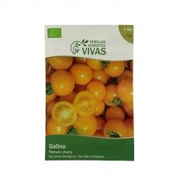 TOMATE GALINA PT BIO