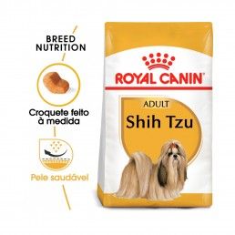 BHN SHIH TZU - 1.5KG