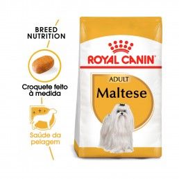 BHN MALTESE - 1.5KG