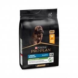 PRO PLAN LARGE ROBUST PUPPY CHICKEN