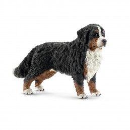 MINIATURA BERNESE FEMEA