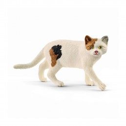 MINIATURA GATO DE PELO CURTO AMERICANO