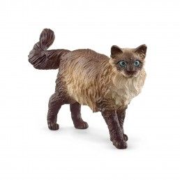 MINIATURA GATO RAGDOLL