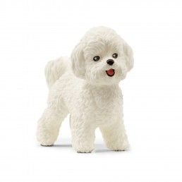 MINIATURA BICHON FRISE