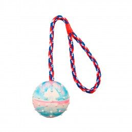 BOLA DE BORRACHA NATURAL C/ CORDA - 6X30CM
