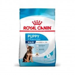 ROYAL CANIN MAXI PUPPY