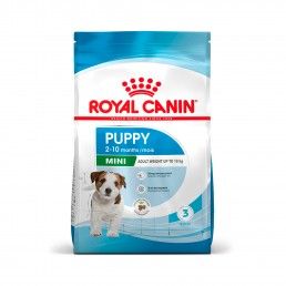 ROYAL CANIN MINI PUPPY