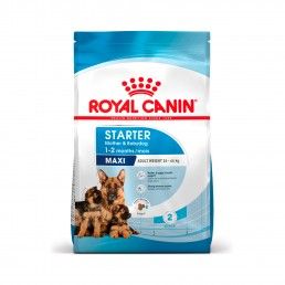 ROYAL CANIN MAXI STARTER M&B