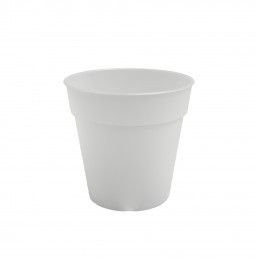 VASO PRODUAO MADAGASCAR ORQUIDEA
