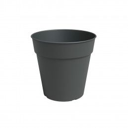 VASO PRODUAO MADAGASCAR