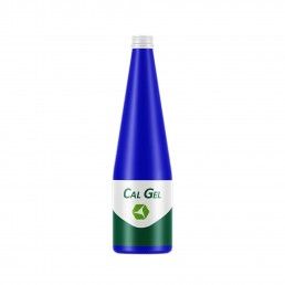 CAL GEL - 500ML
