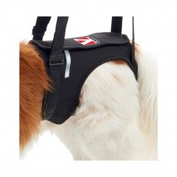 ARNES DE ELEVA�AO PATAS TRASEIRAS - XL